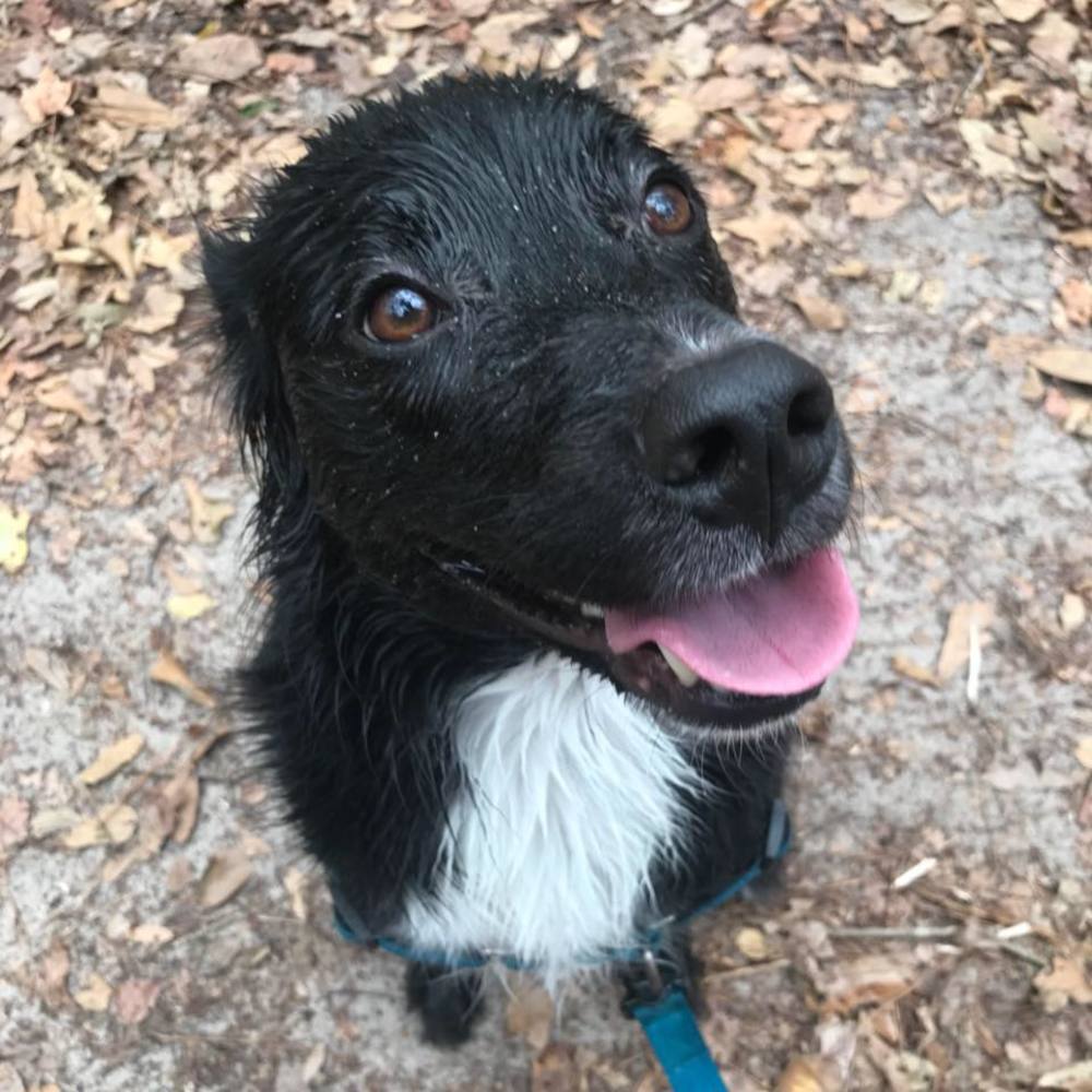 Meet your Posher, Adrienne